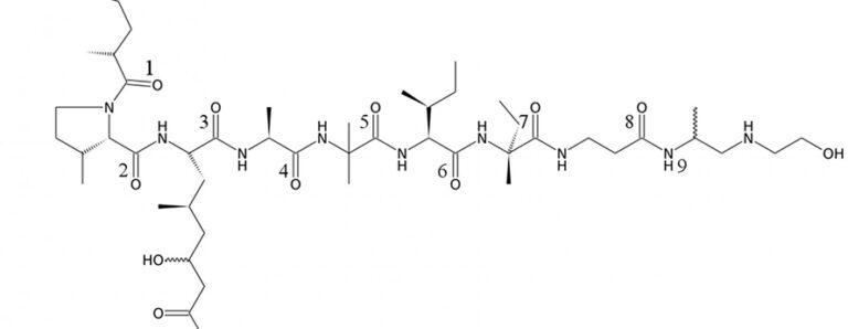 Emericellipsin A